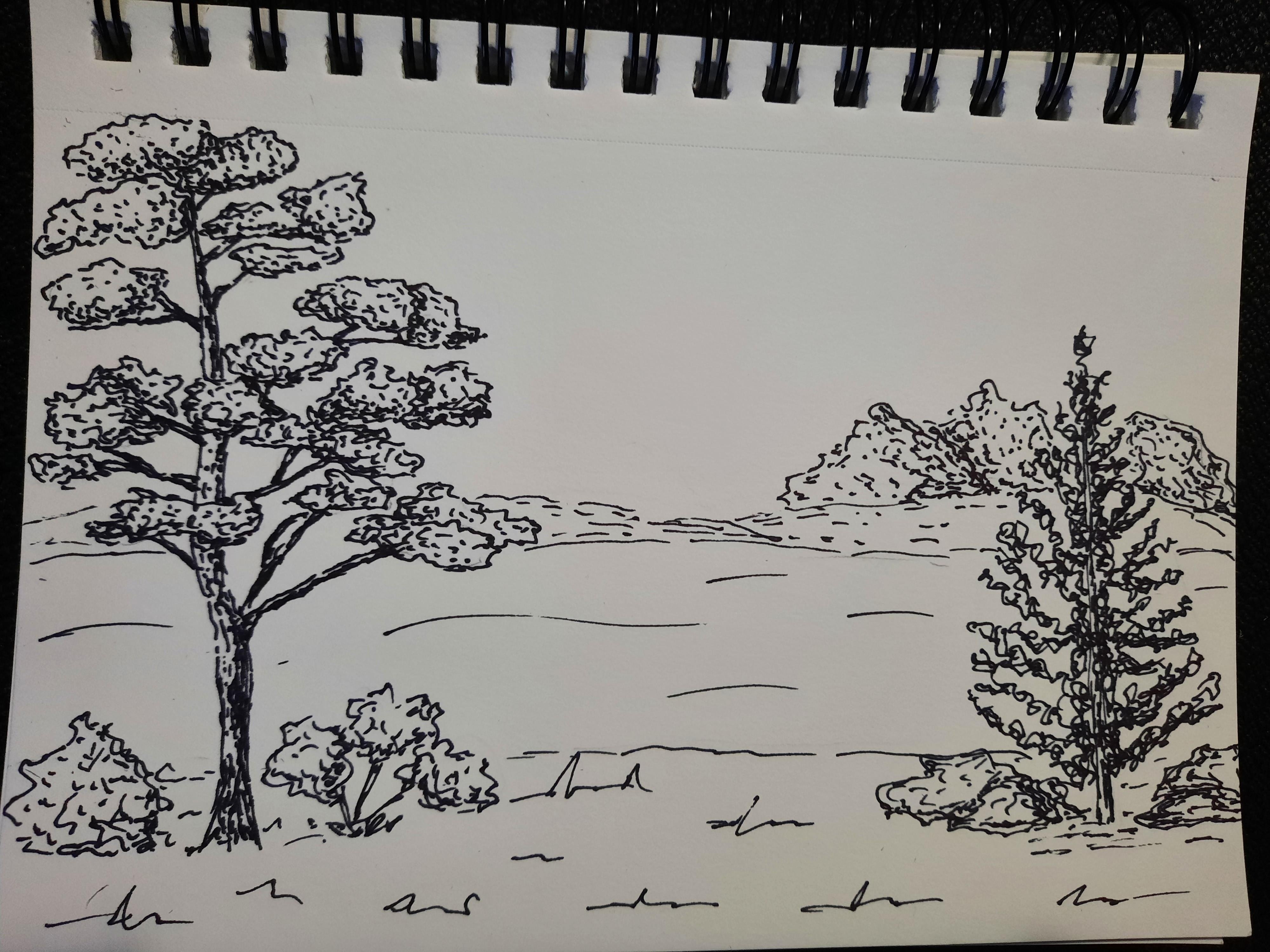 Let's sketch trees - student project