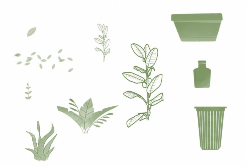 Stamp Brushes in Procreate