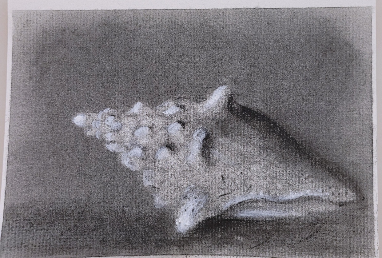 Conch - student project