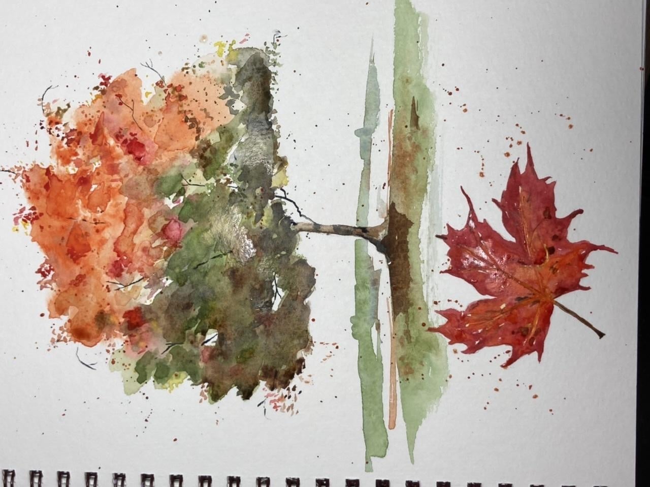 Autumn Maple - student project