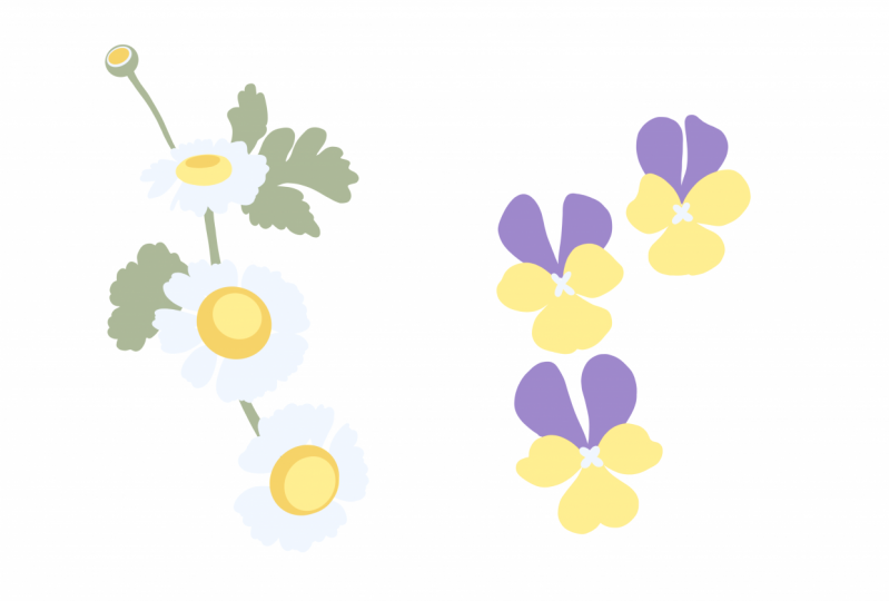 Floral pattern