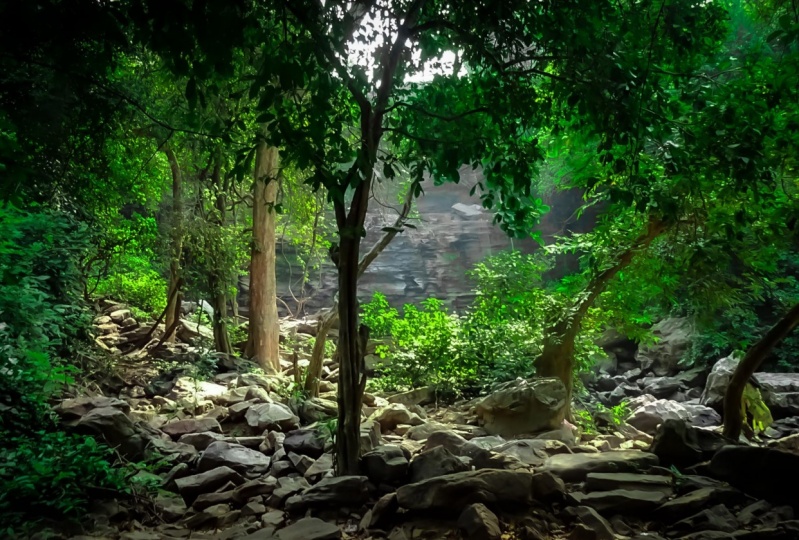 Into The Nature