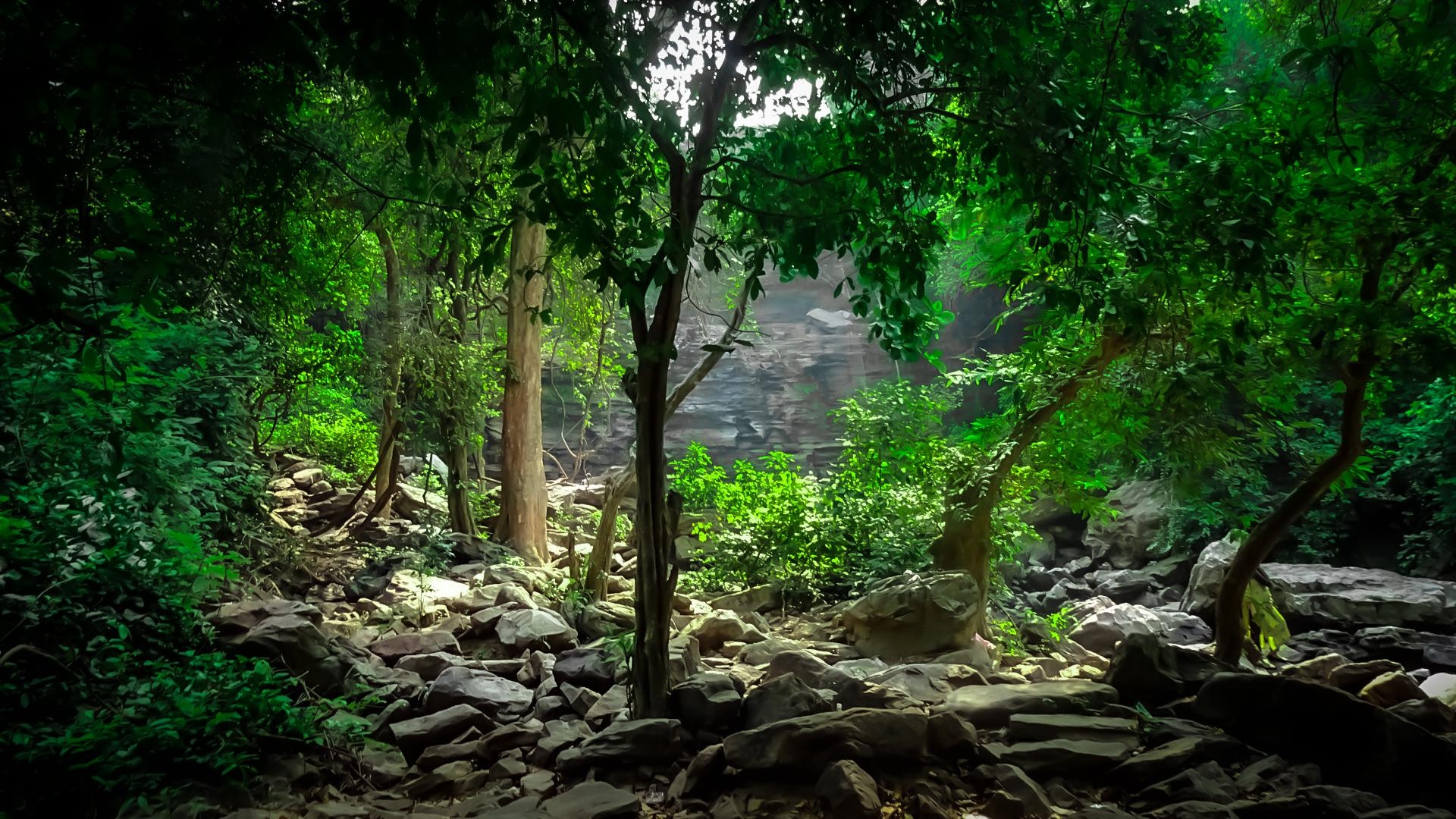 Into The Nature - student project