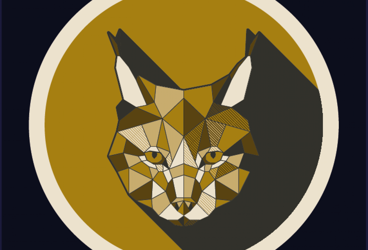 Geometric design project - student project