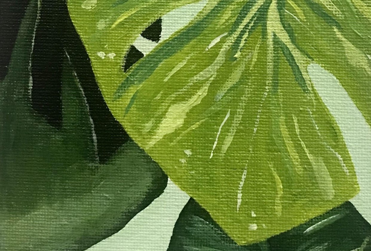 Monstera Leaf - student project