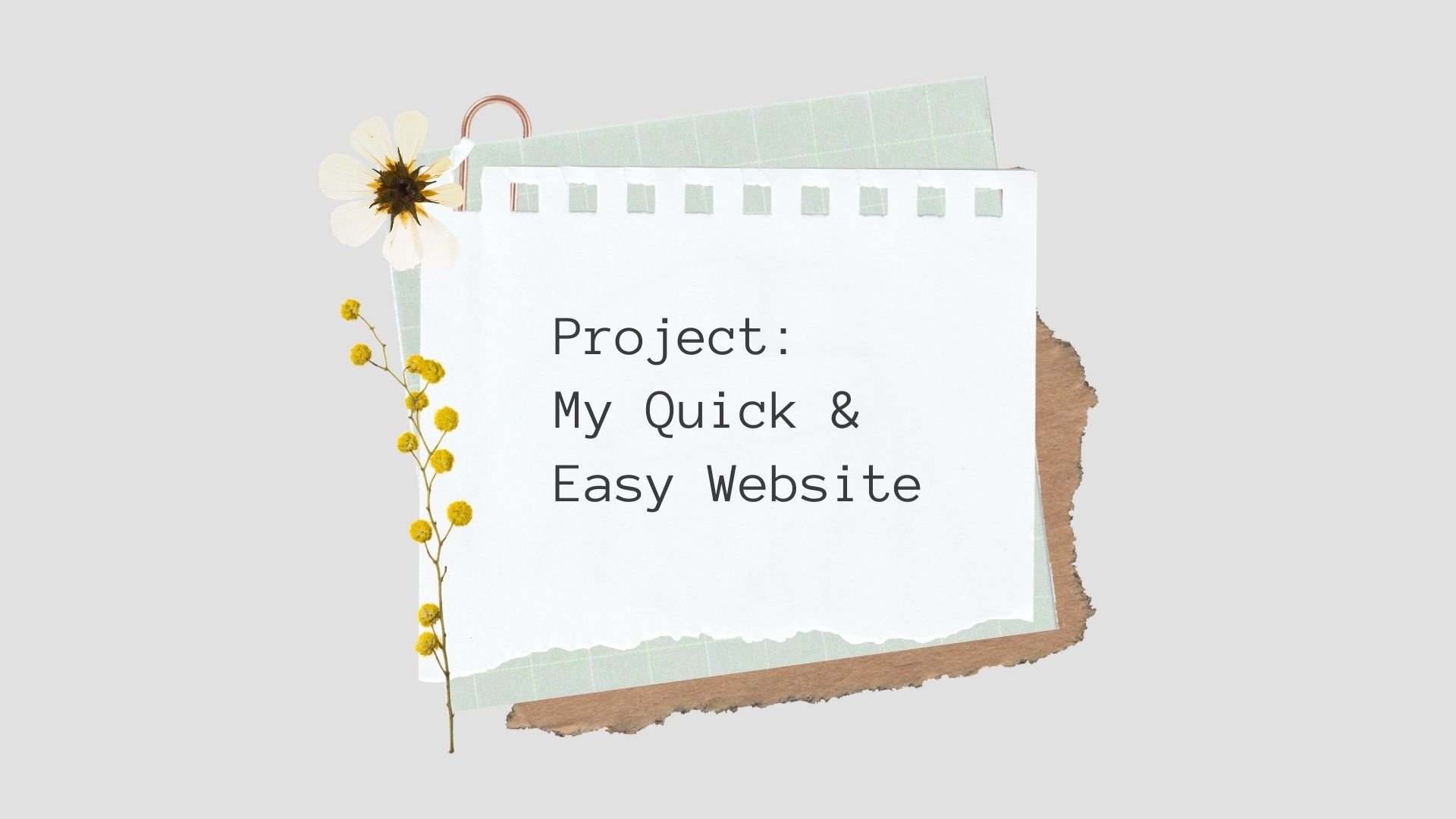 Super Cat Sitters - student project
