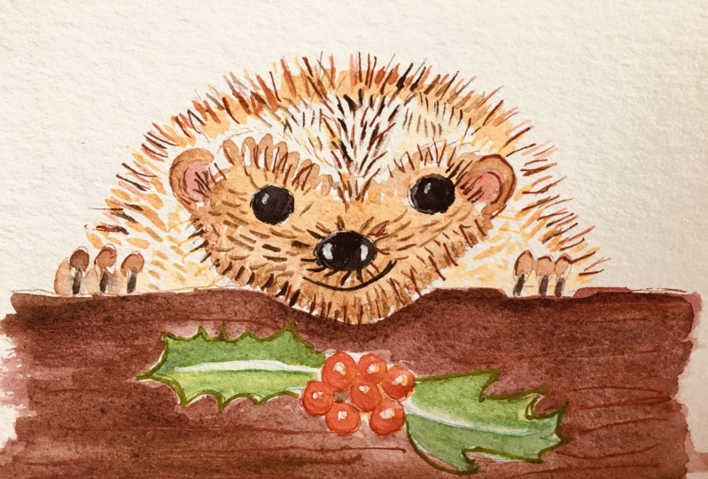 Hedgehog