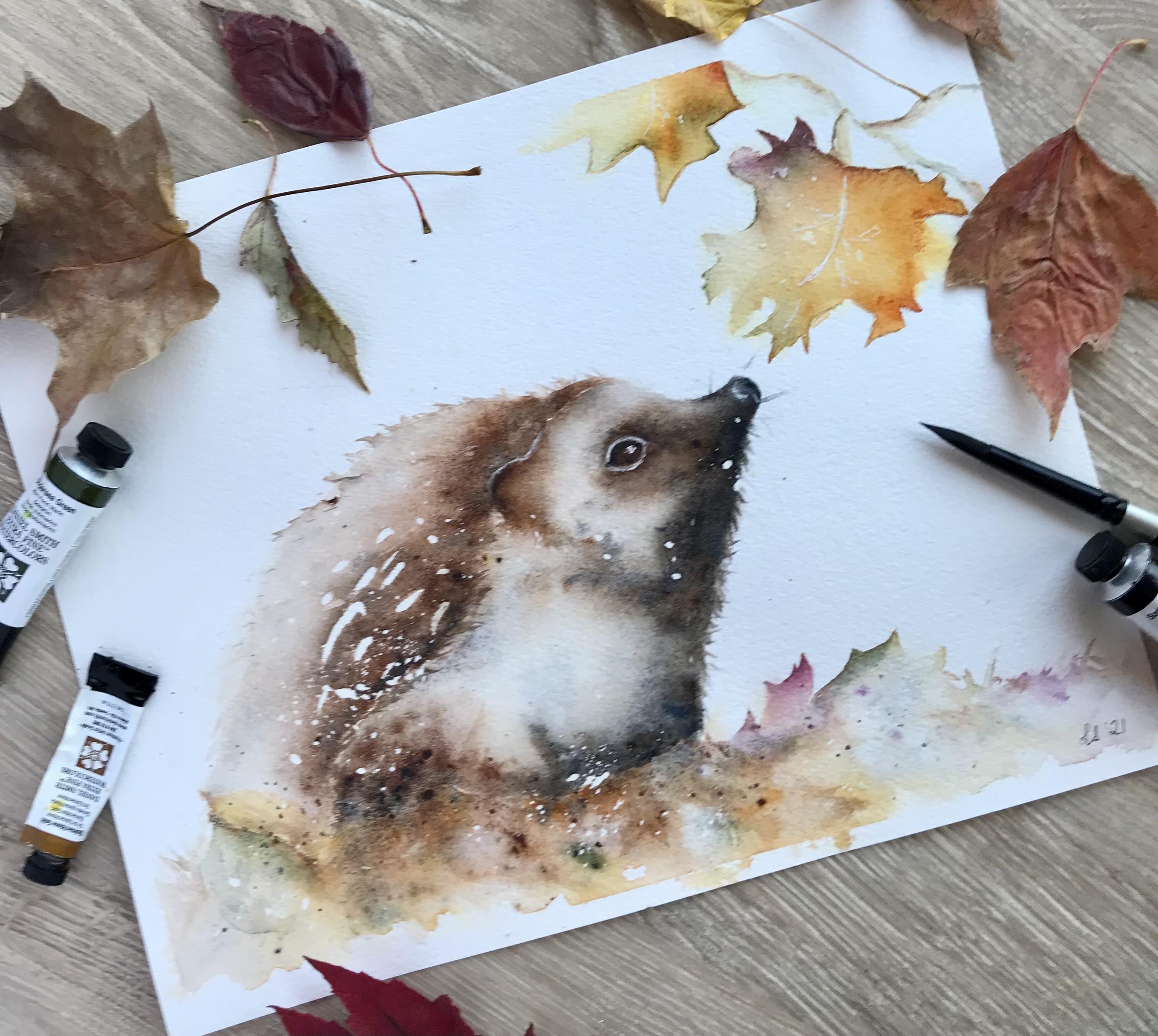 Autumn Hedgehog - student project