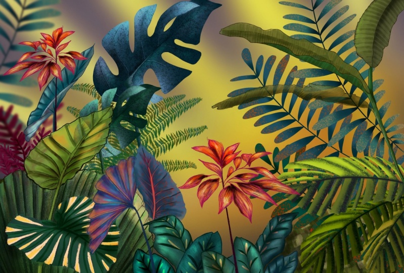 My jungle