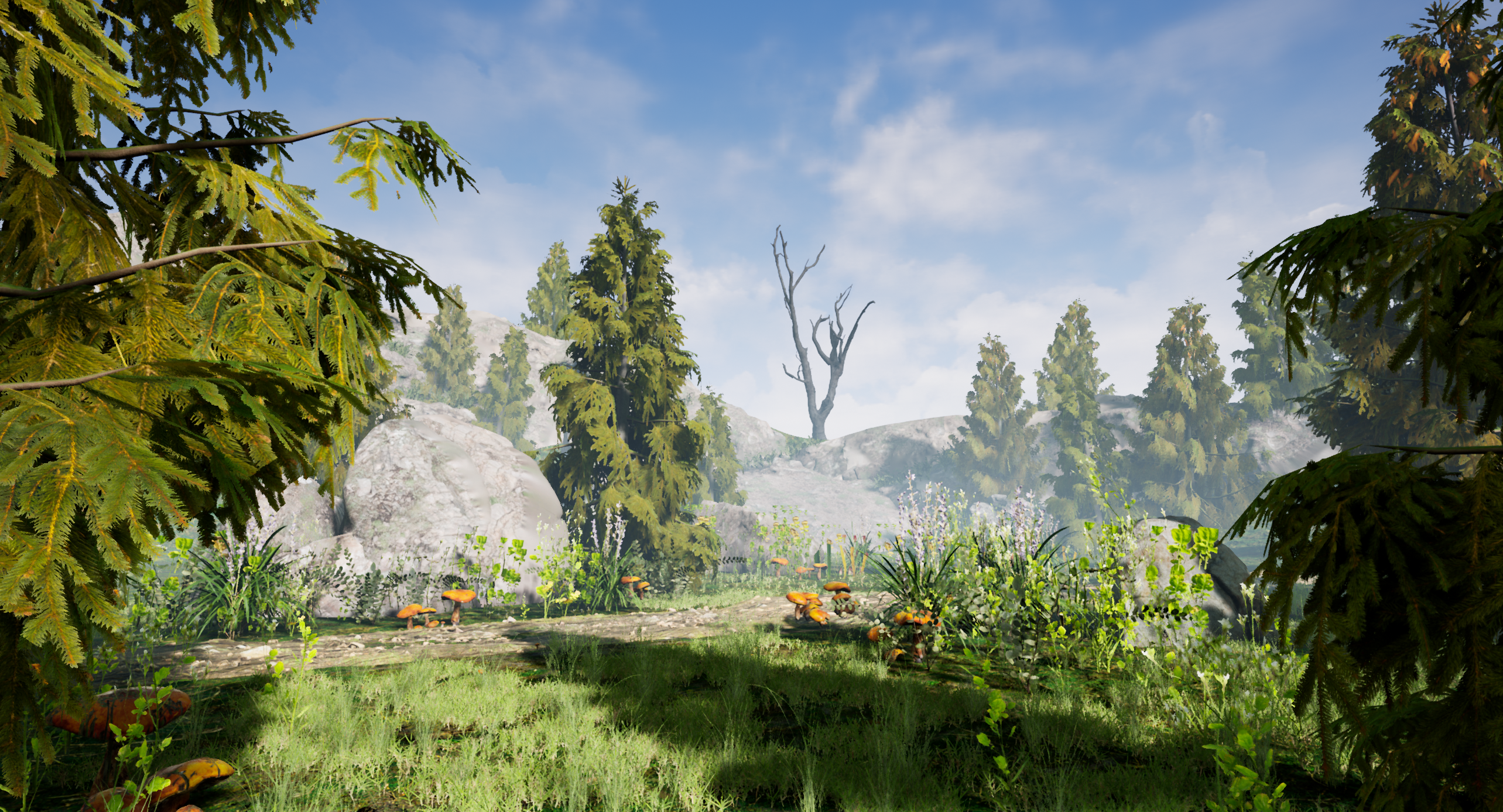 Spruce Valley - student project