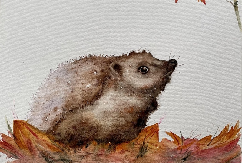 Mrs. Hedgehog by Lynn Darlington