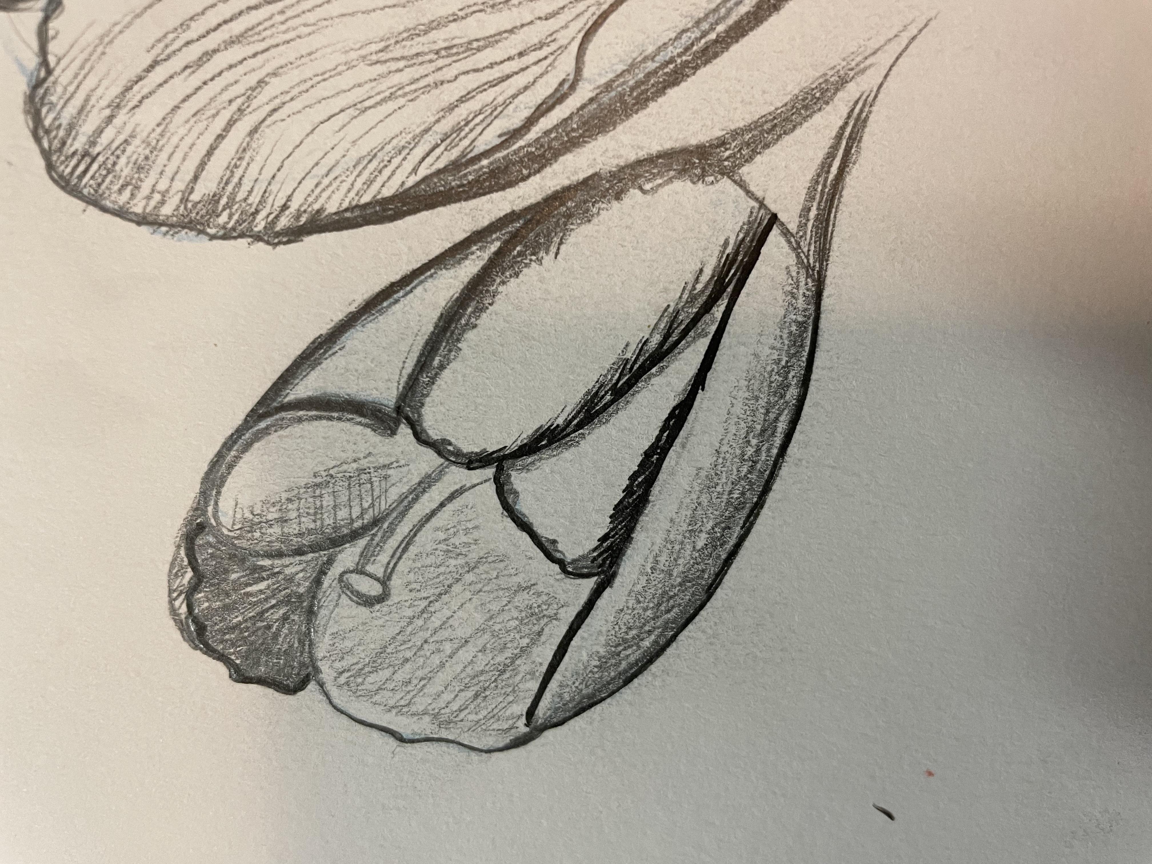 Flower - student project