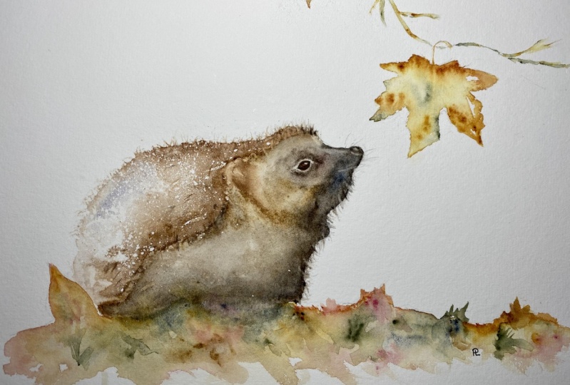 Autumn hedgehog