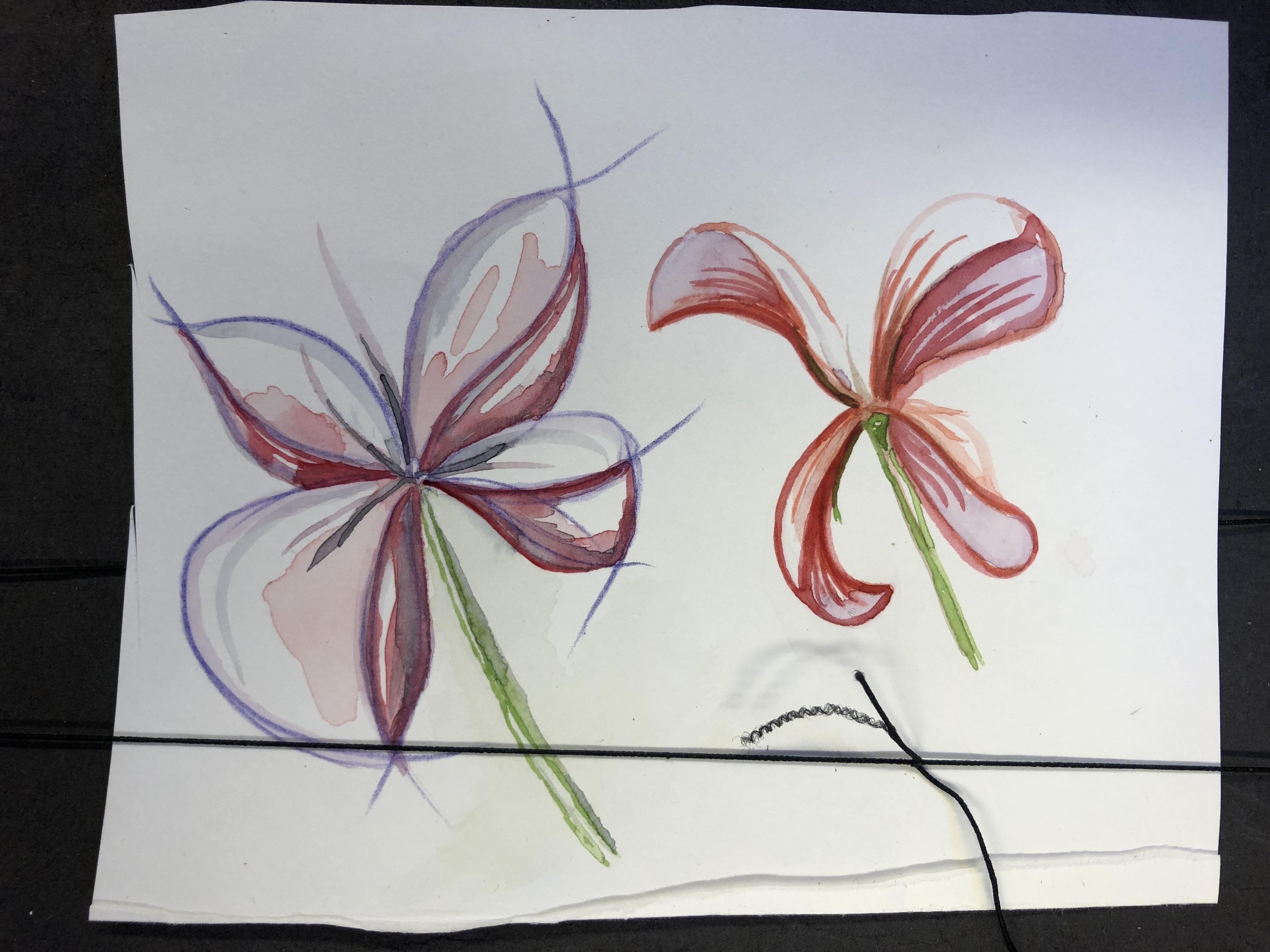 more-projects-from-class-img