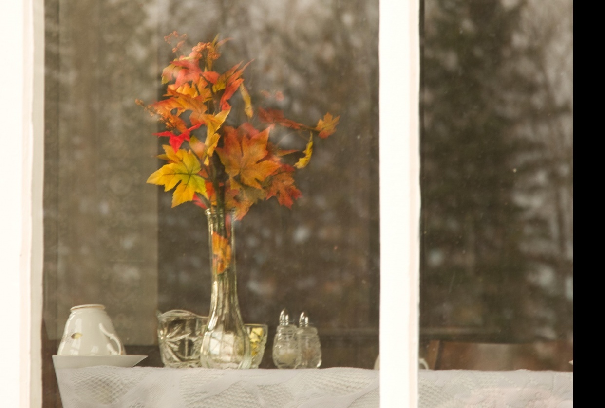 looking in through the Tea house window - student project