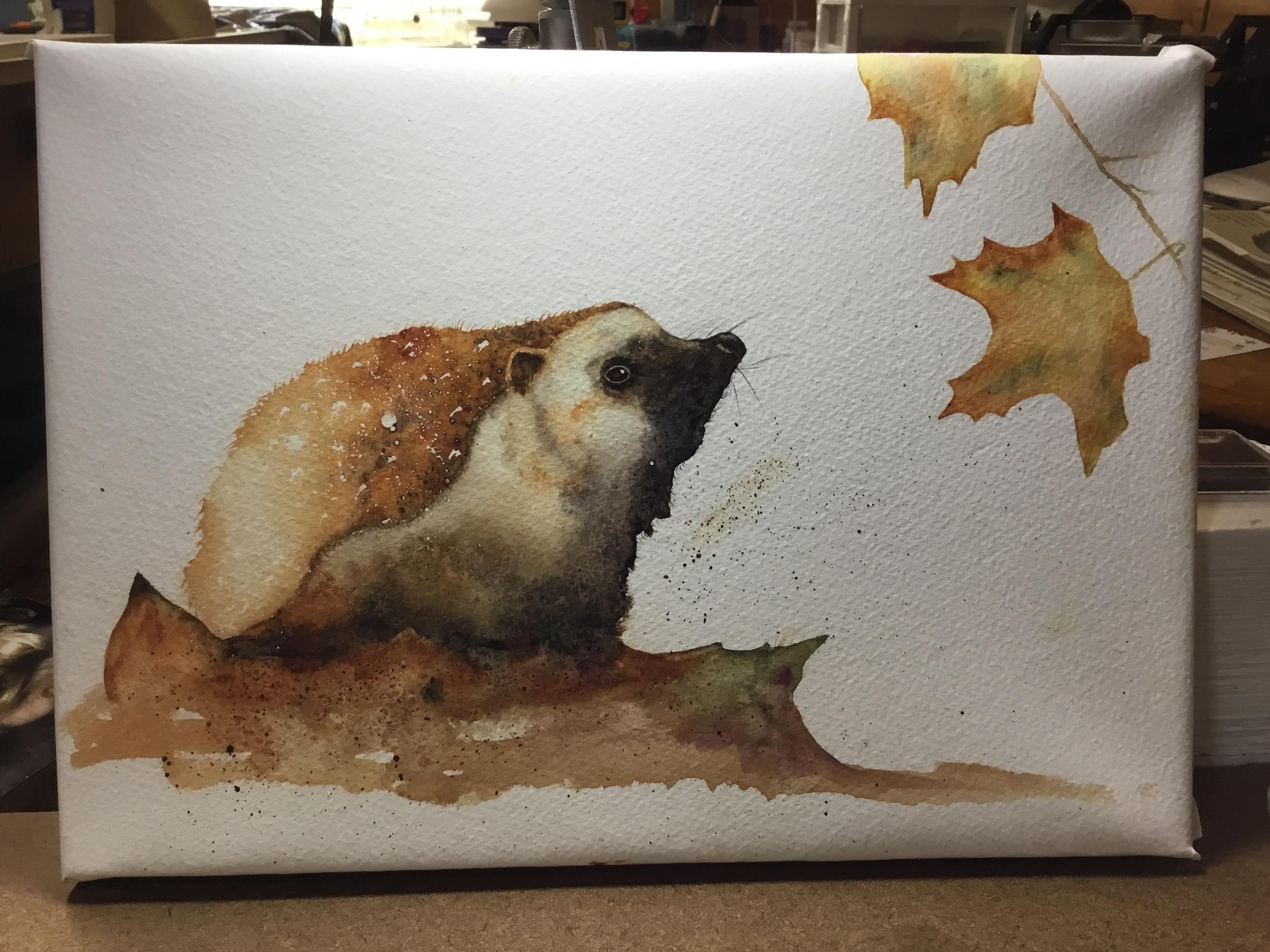 Hedgehog - student project