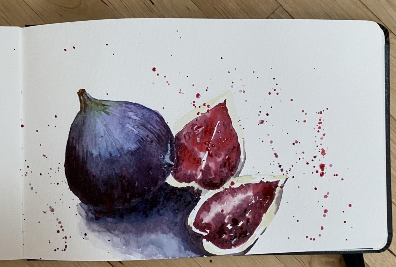 Watercolor Figs