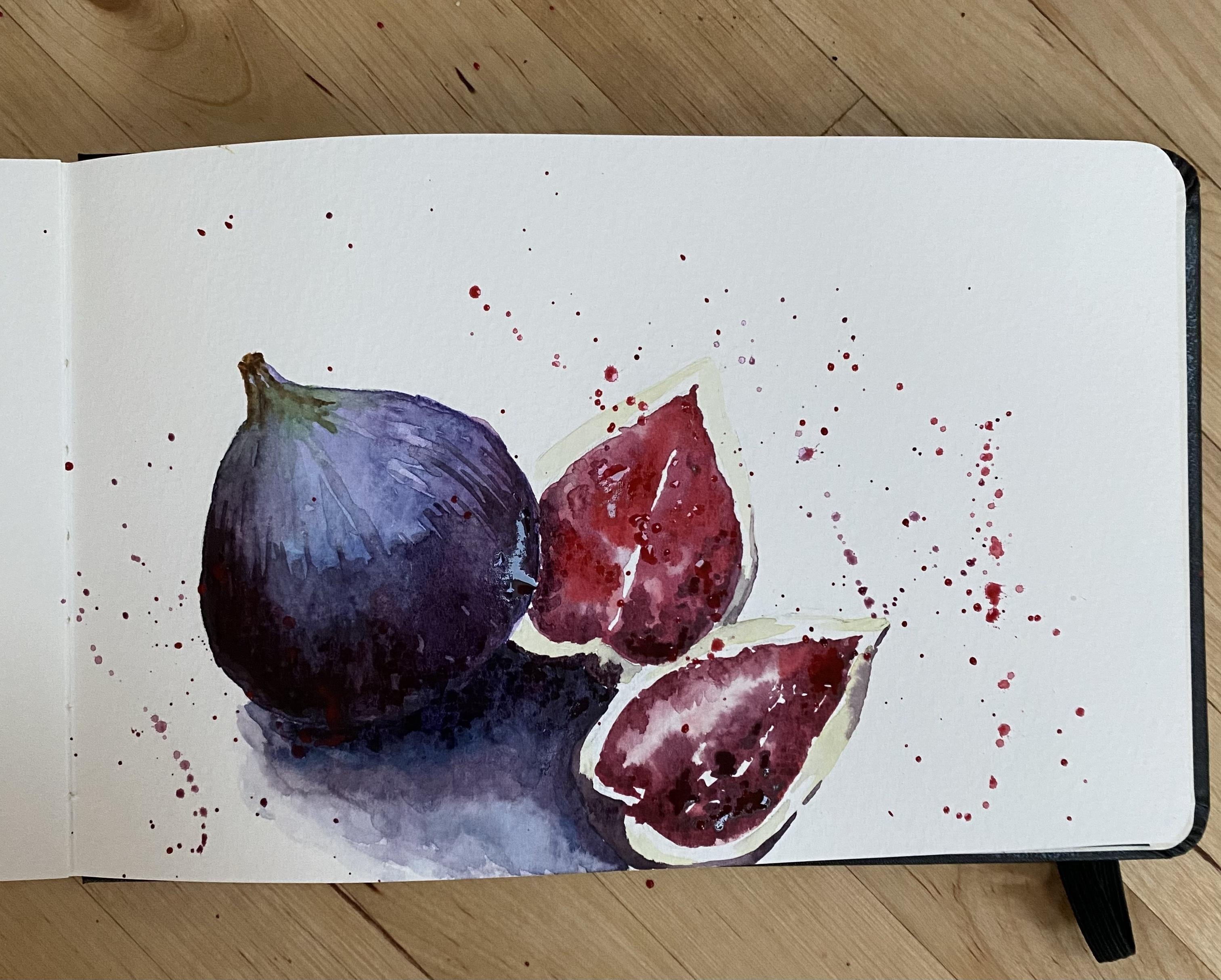 Watercolor Figs - student project