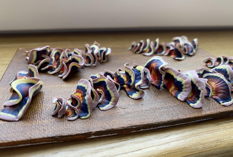 Sculpt your own mushrooms
