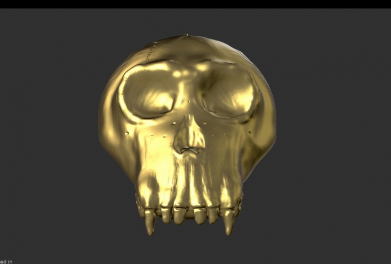 The skull