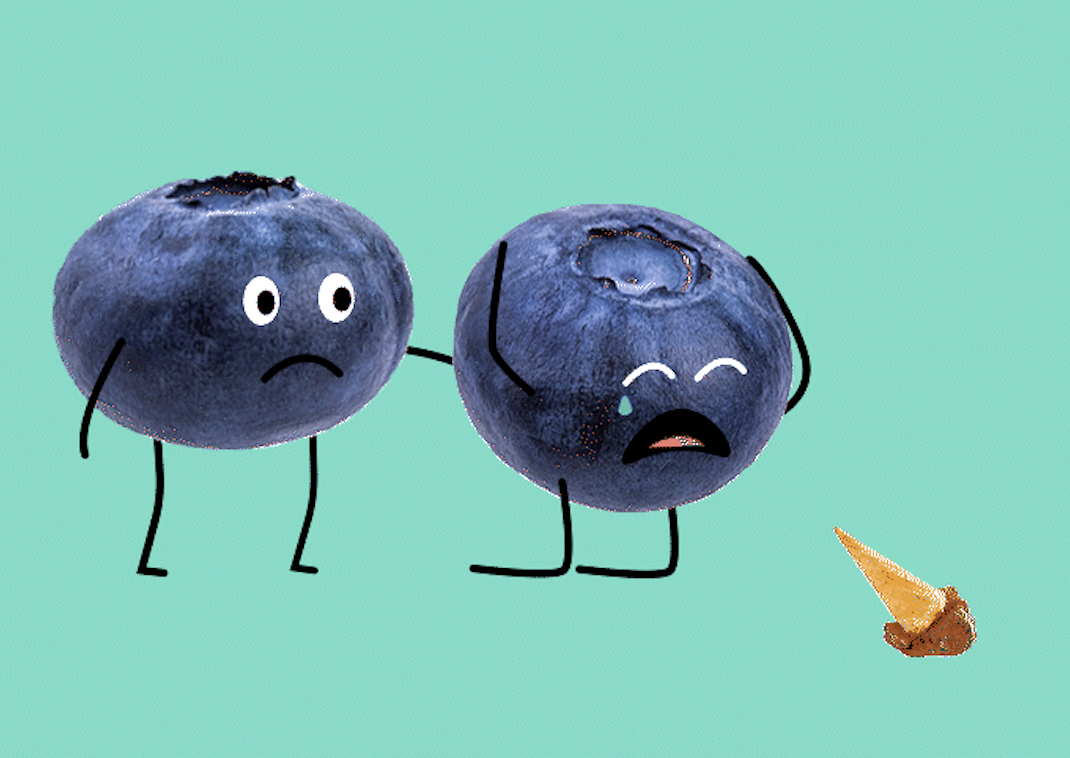 Blueberries that are blue :( - student project