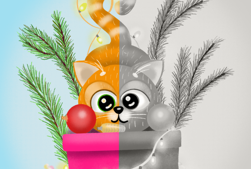 Christmas playful cat