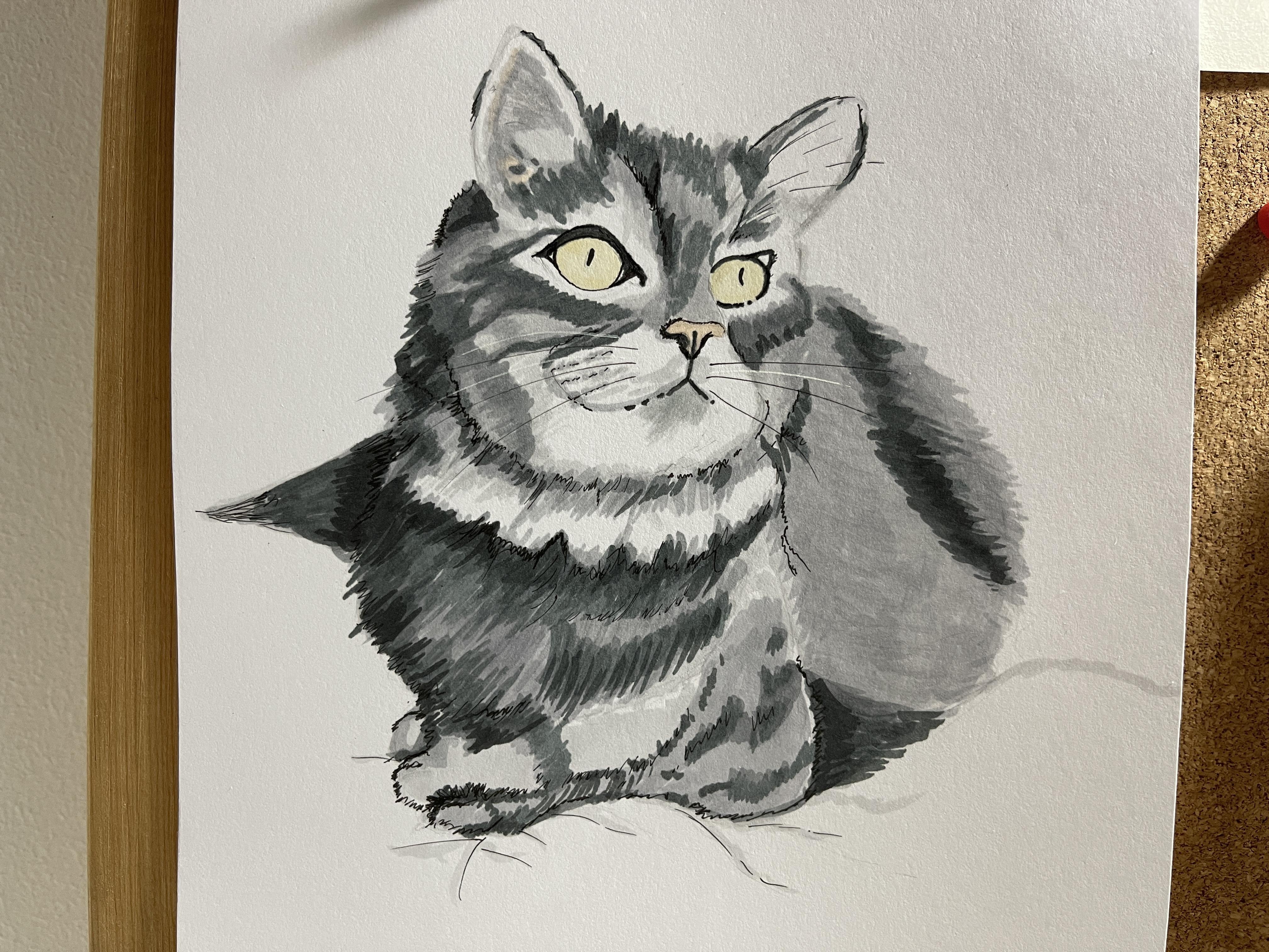 Cat - student project