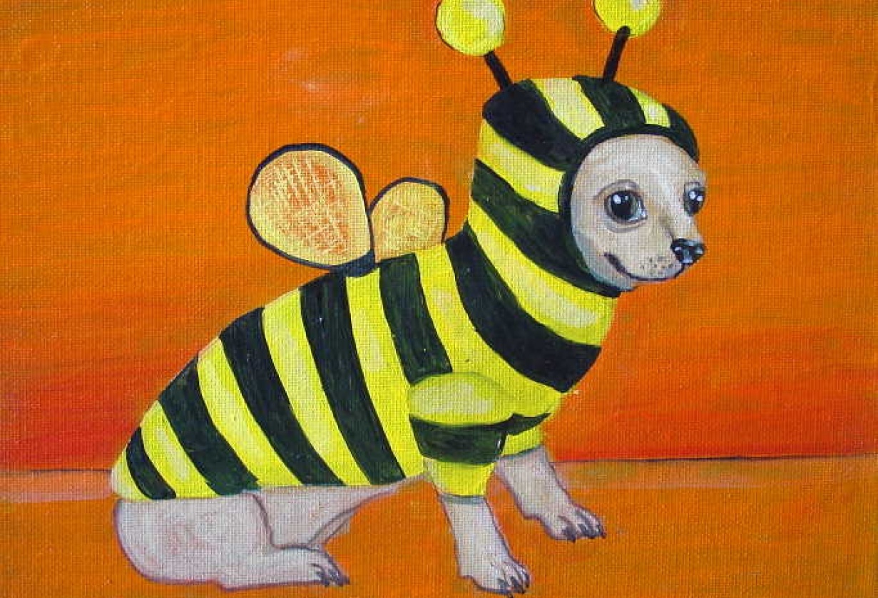 Bumblebee Chihuahua - student project