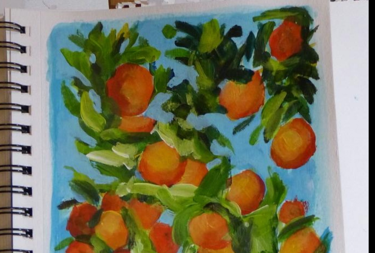 oranges - student project