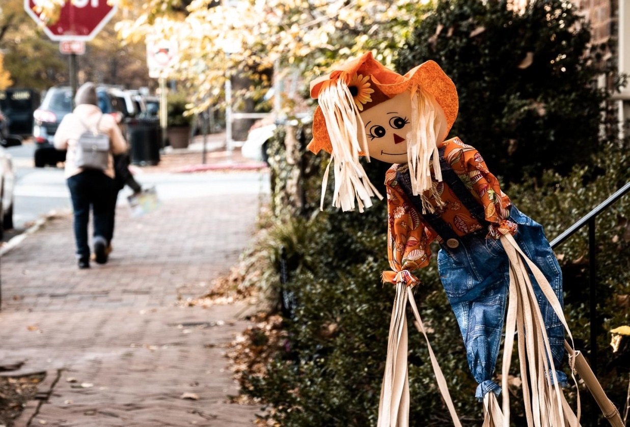 Annapolis day trip - student project