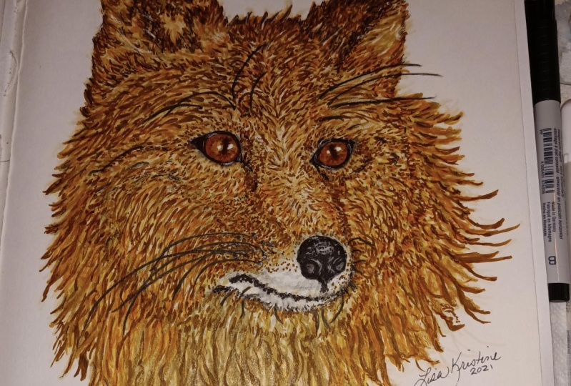 Fox