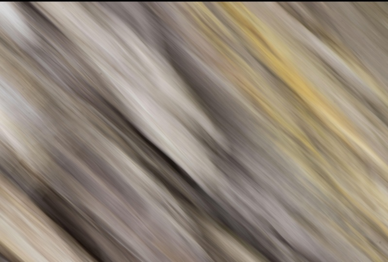 Intentional Camera Movement