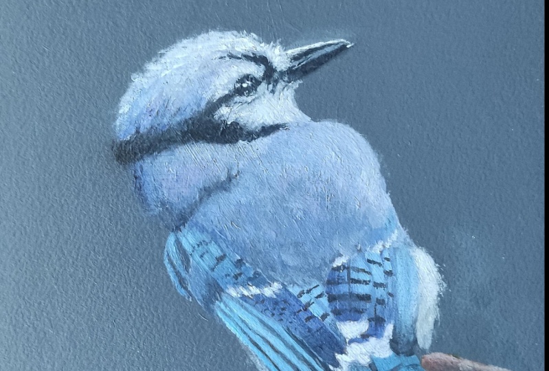 Little bird