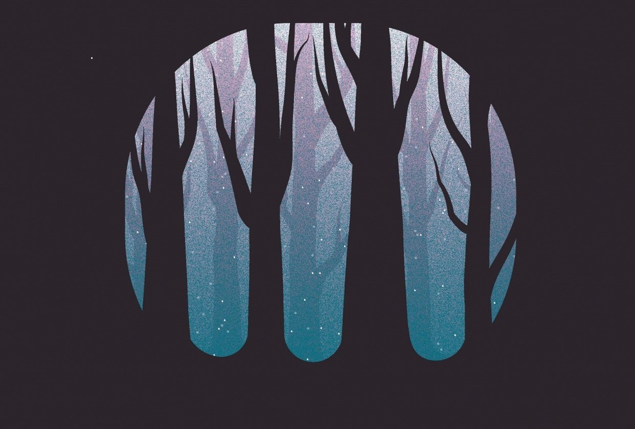 Dreamy Silhouette Forest - student project