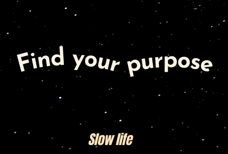 A slow morning in my life
