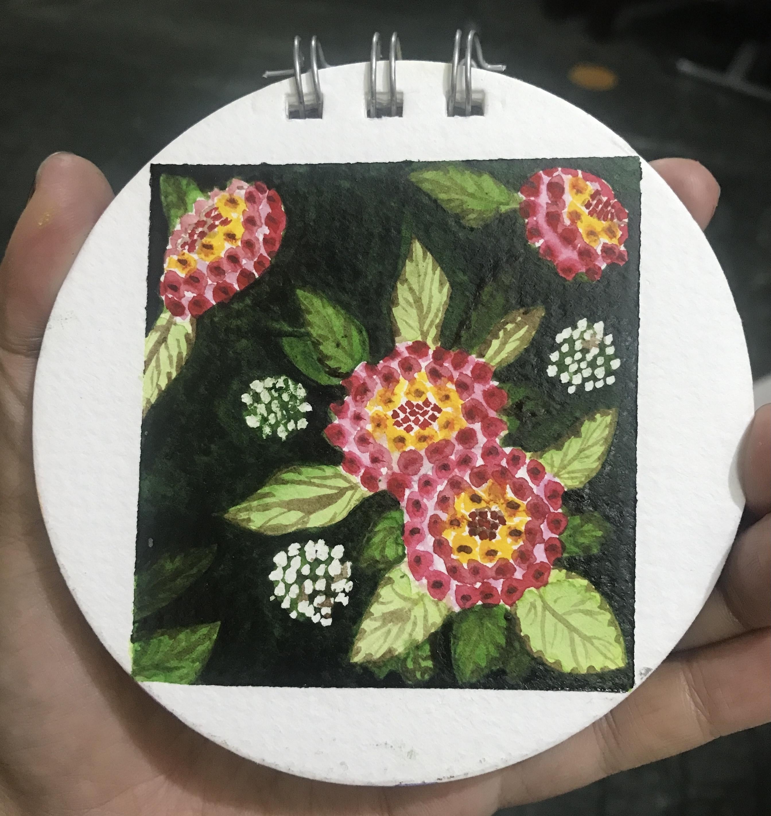 more-projects-from-class-img
