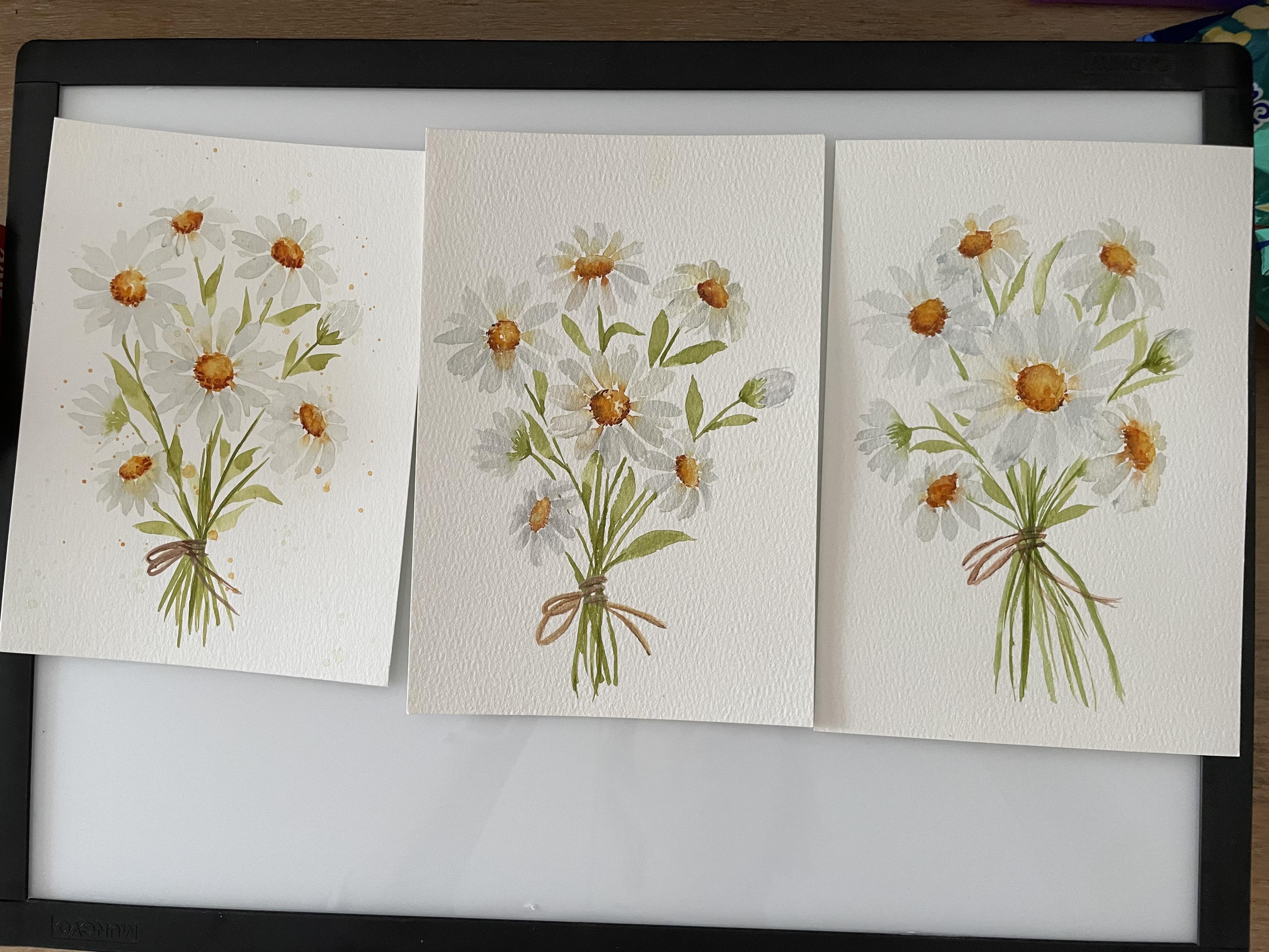 Daisies - student project