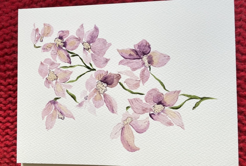 Orchid