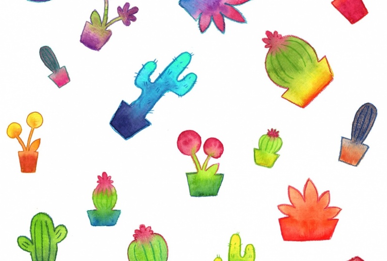 Plants and Cacti with Watercolour and Pencil