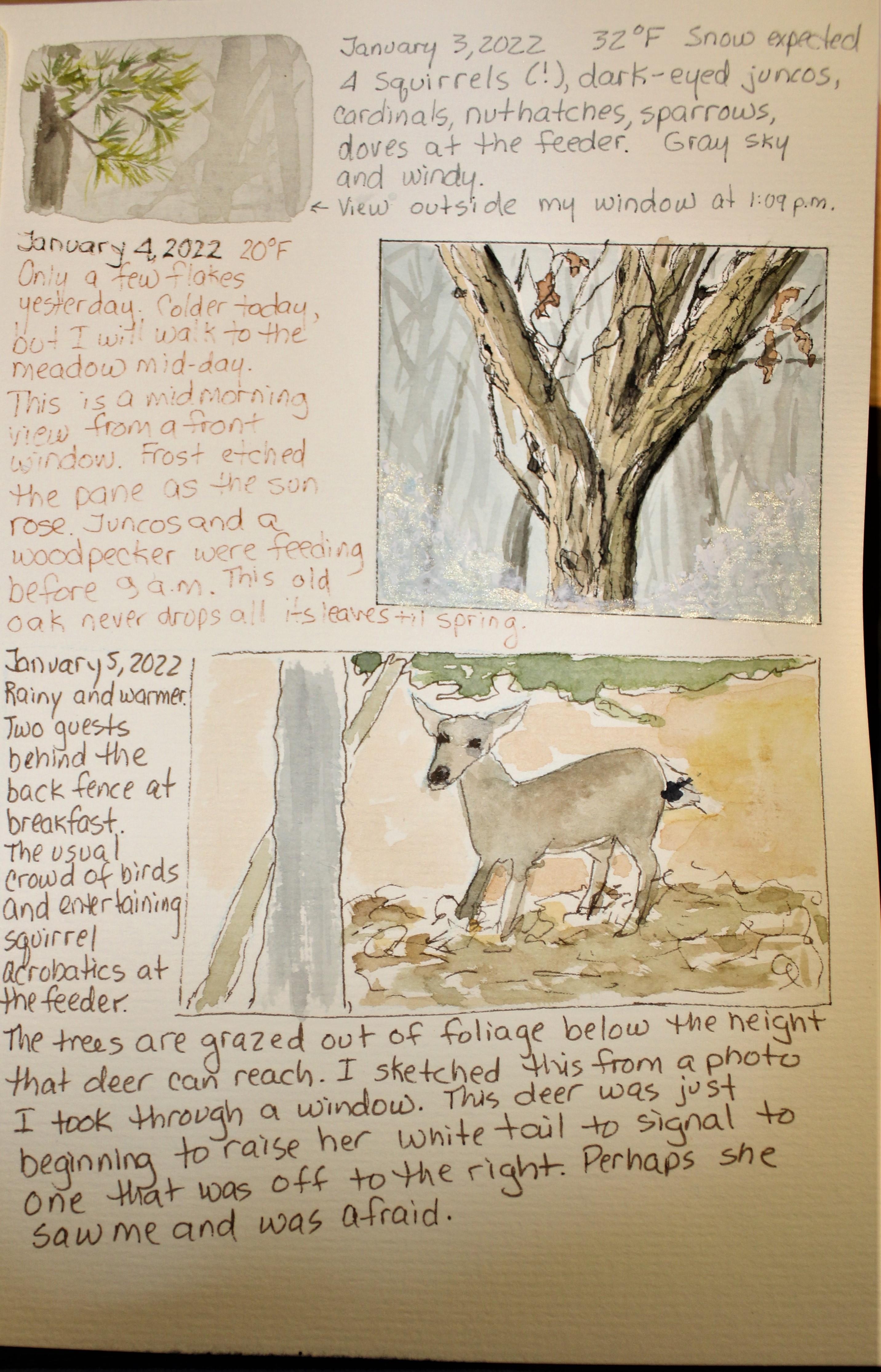 more-projects-from-class-img