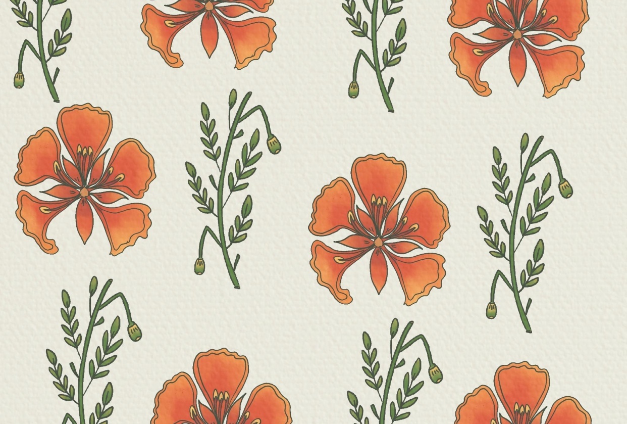 Botanical Illustration Pattern - student project
