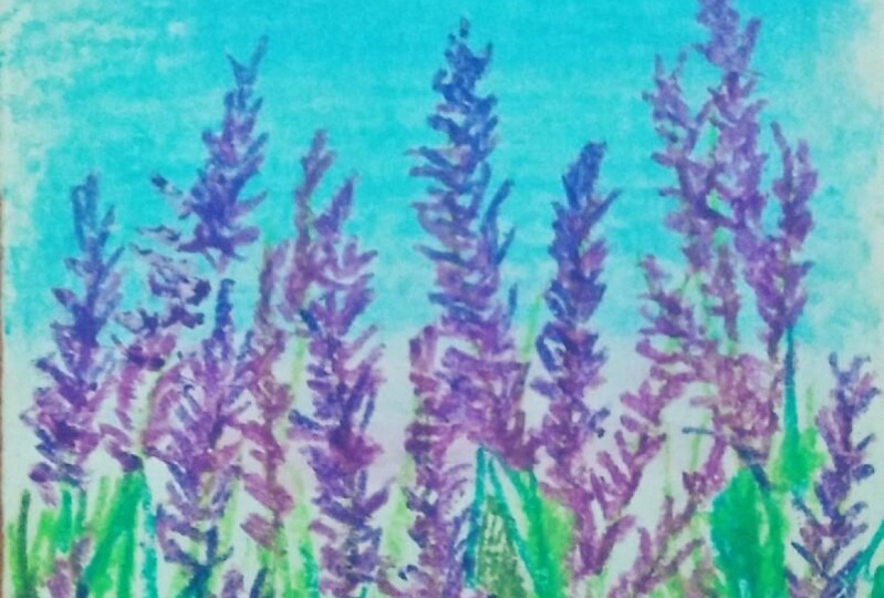 Lavenders