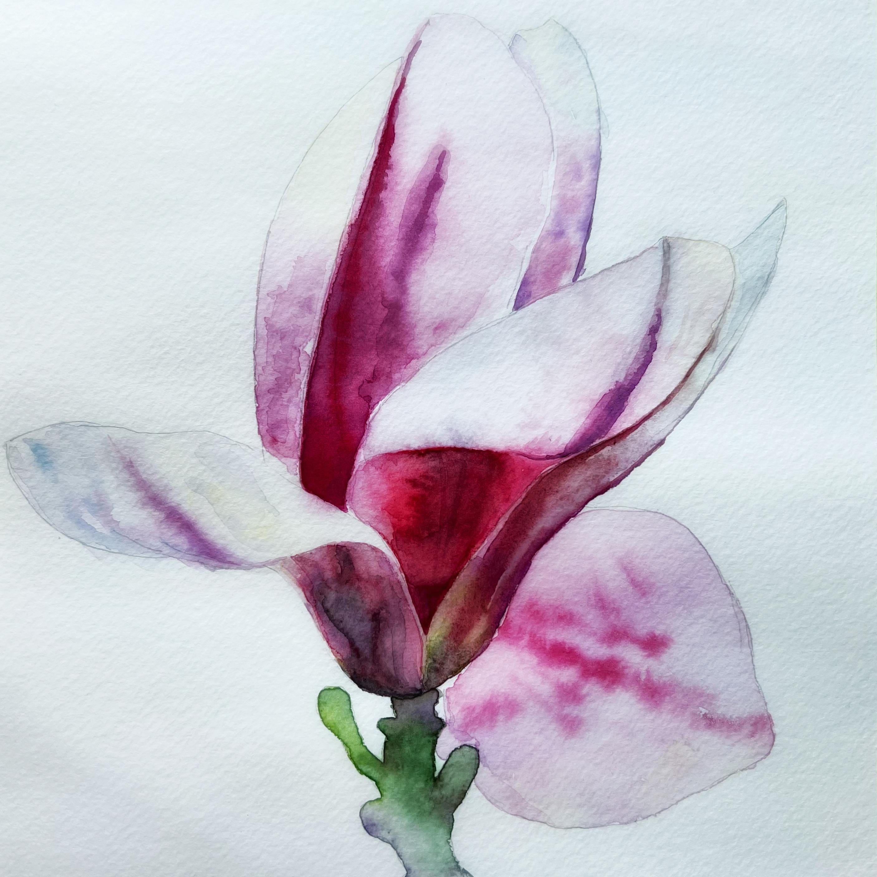 Magnolia challenge