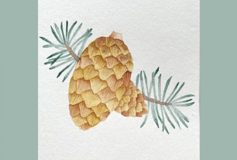 Christmas Plant Elements