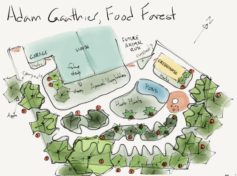 Landscape Design: Planning A Backyard Oasis - student project