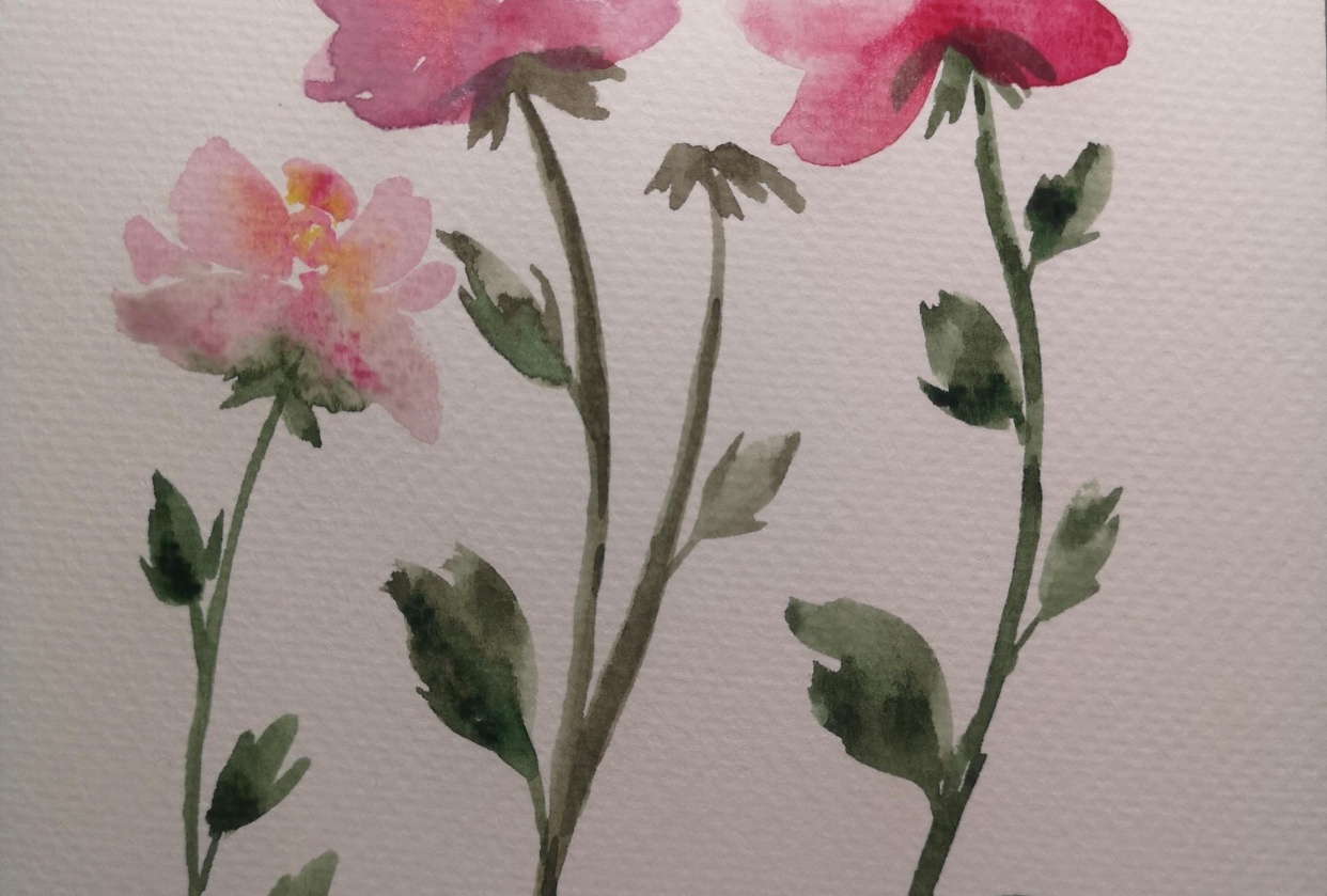 Watercolor Peonies - student project