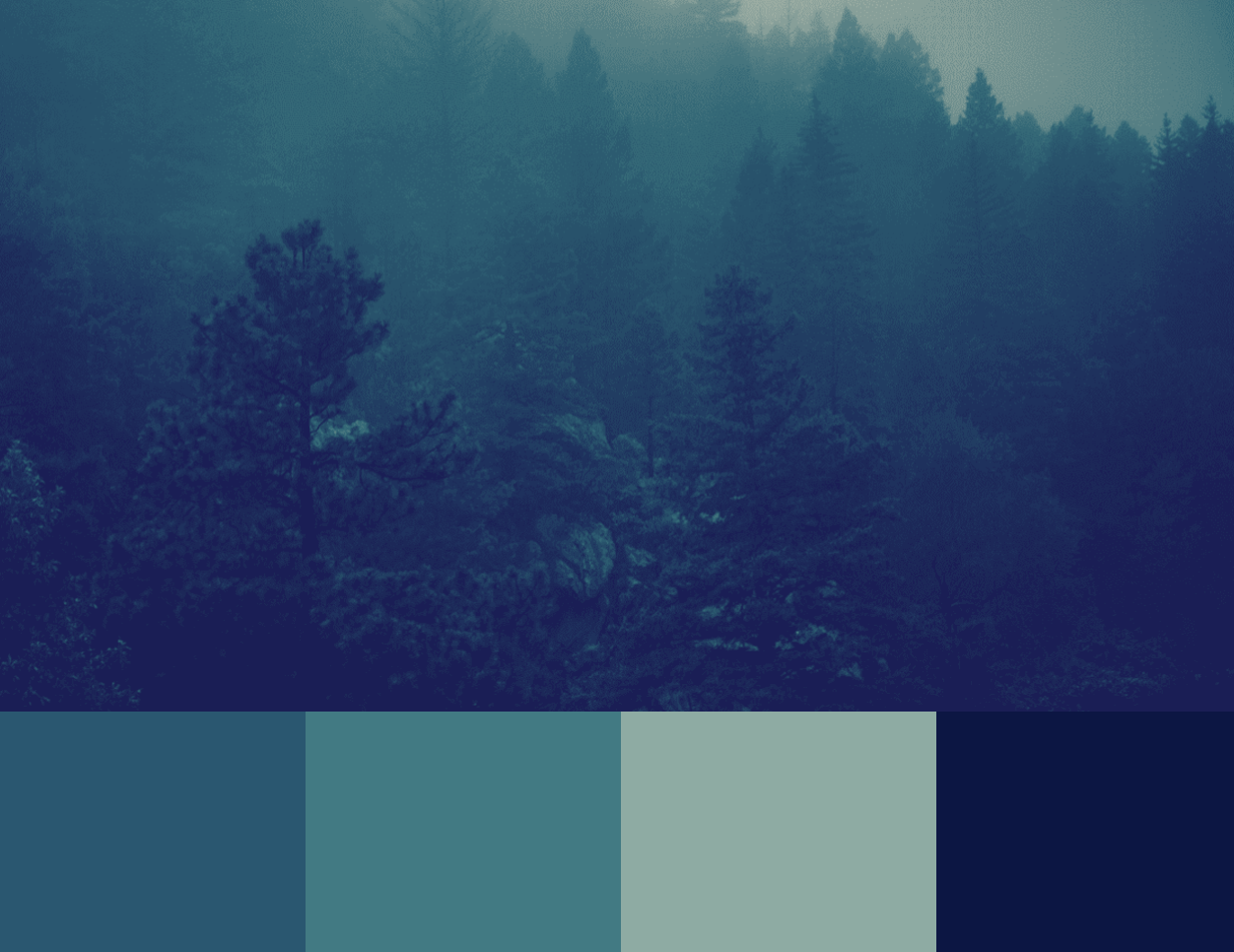 NorCal Forest Color Palette - student project