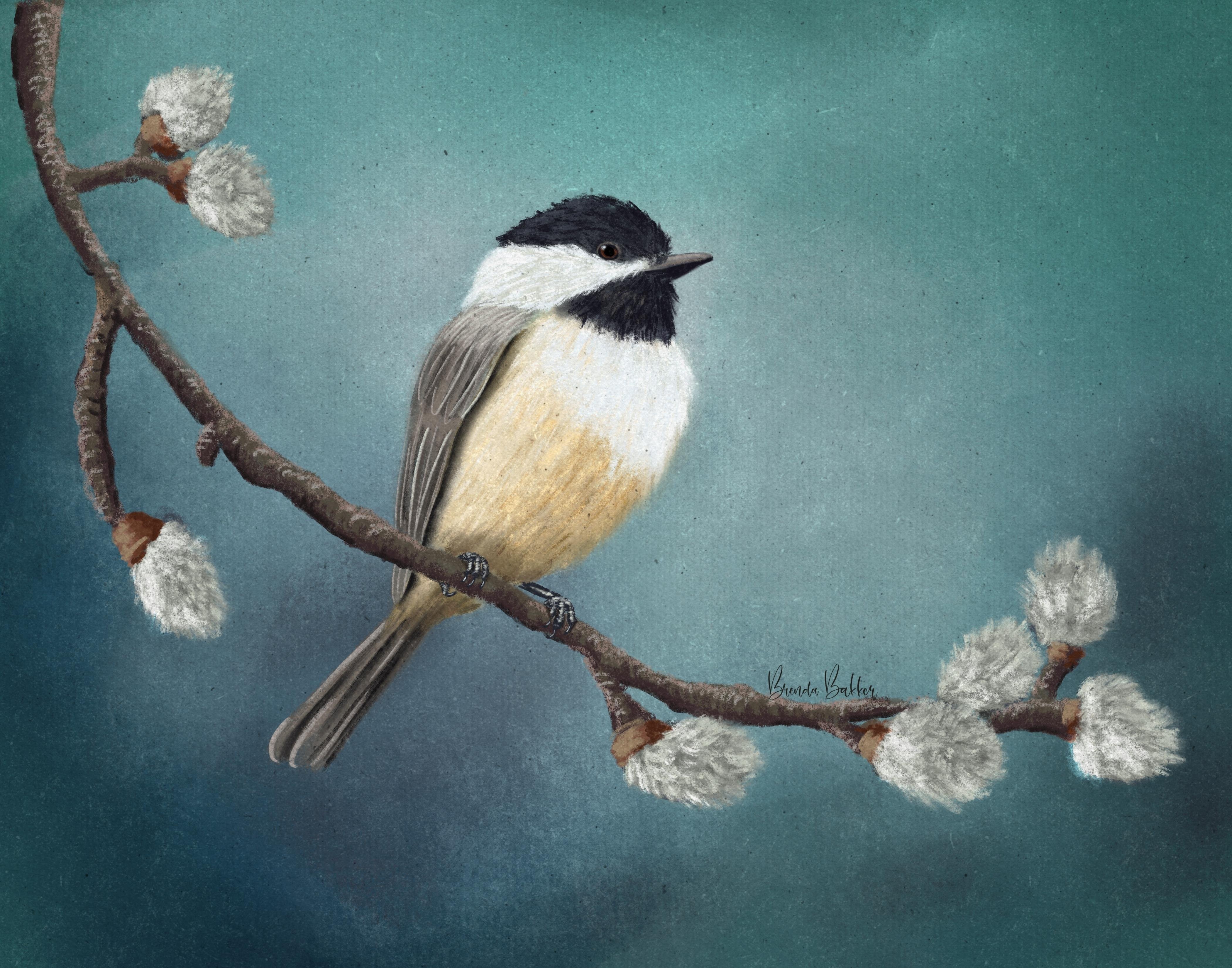 The chickadee Jenn made me do - student project
