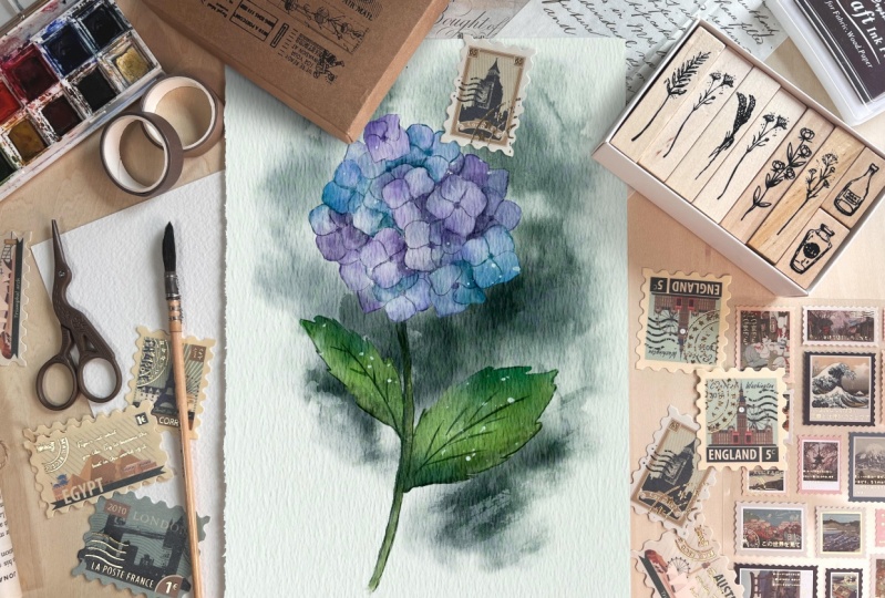 Hydrangea
