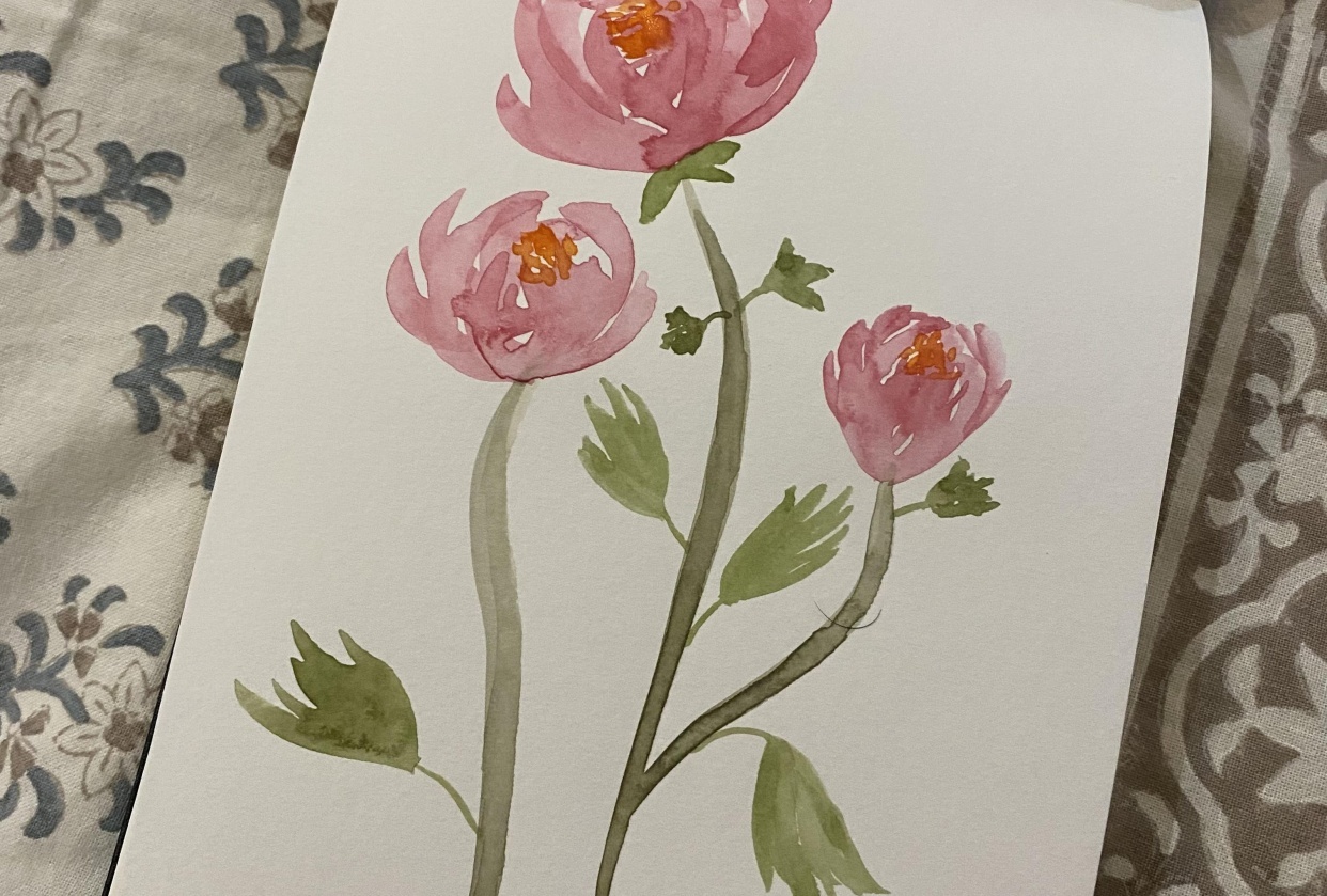 Peonies - student project